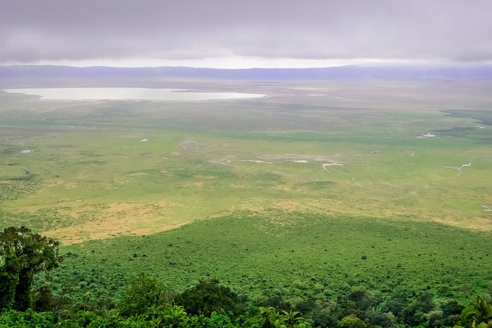 The floor of the Ngorongoro Crater in Tanzania seen from the rim